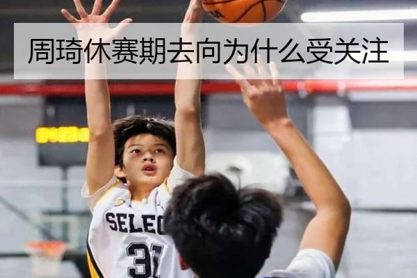 周琦休赛期去向为什么受关注 | Kaiyun
